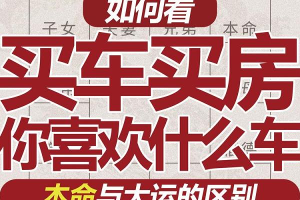 车在紫薇斗数属于什么
