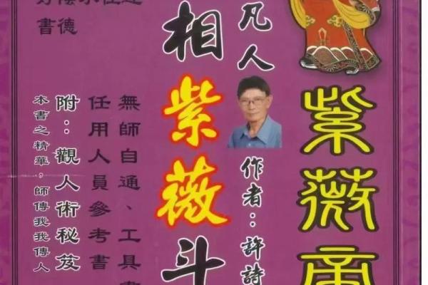 高级紫薇斗数书
