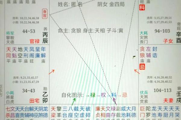 紫薇斗数官禄宫台辅