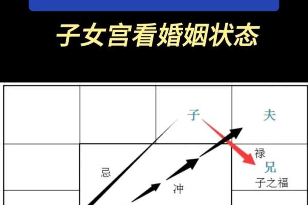 紫薇斗数癌症