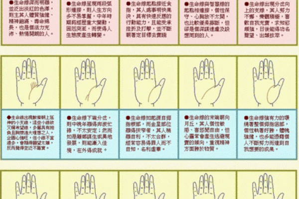 看手相算命：第五课 论健康