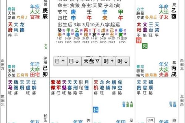 迁移宫看在外吉凶#紫微斗数教学