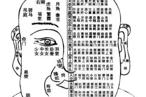 颧骨面相算命