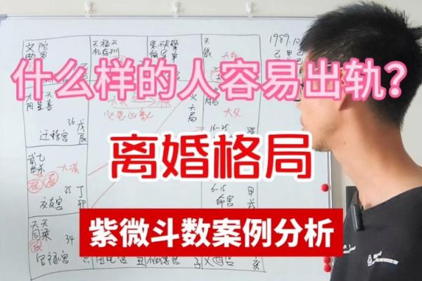 紫薇斗数看婚姻怎么样