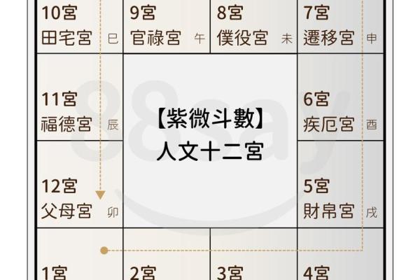 紫薇斗数怀孕生子年份