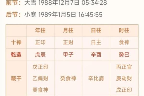 极弱八字