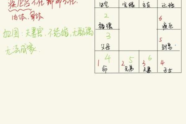 紫薇斗数综合详解