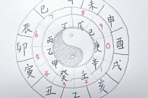 如何八字排盘