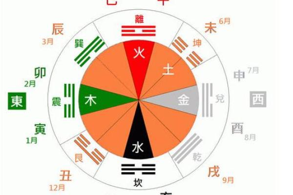 算命树的说法