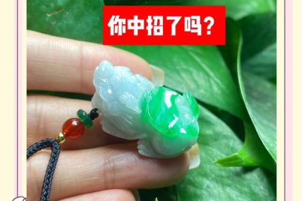 风水压不住貔貅的症状都包括哪些表现