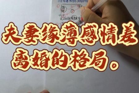 紫微斗数离婚案例，紫薇看离婚原理