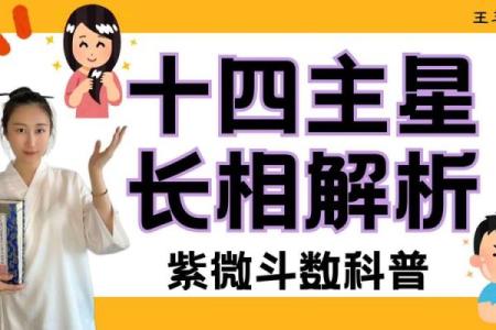 紫薇斗数中看长相