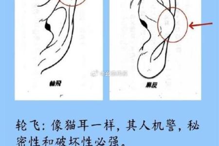 耳朵面相算命