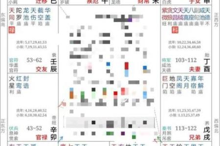 紫微斗数太阳太阴在疾厄宫