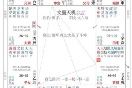 紫薇斗数断盘