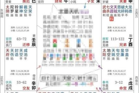 名人紫薇斗数案例