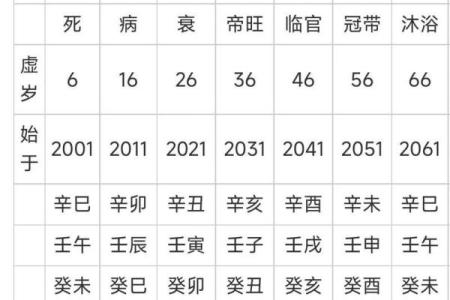 四柱八字表格大全，详解八字排盘，为你揭露八字算命的秘密