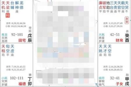 紫微斗数之：论财运
