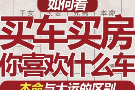 车在紫薇斗数属于什么