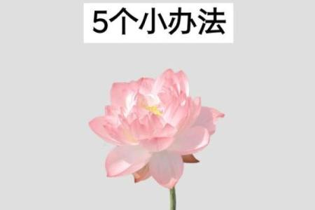 八字无贵人神煞如何转运，这些方法让你事业顺利！