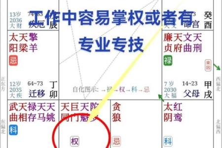 紫薇斗数官禄宫台辅