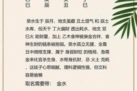 2024年农历正月十三出生的宝宝生辰八字命理解析
