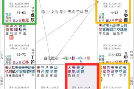 紫薇斗数配偶身材