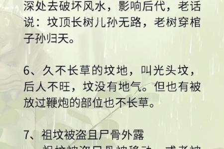 墓地风水知识，教你看墓型墓相