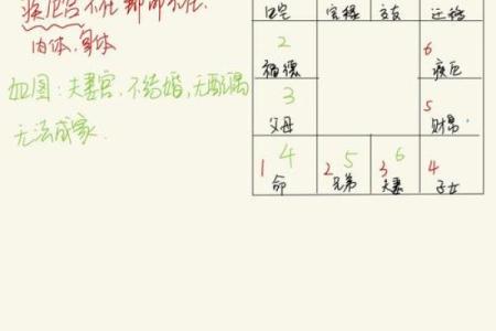 紫薇斗数综合详解