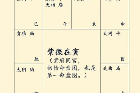 紫薇斗数pdf