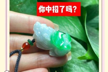 风水压不住貔貅的症状都包括哪些表现