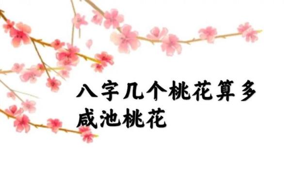 八字里桃花