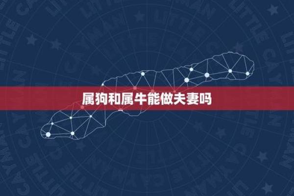 属狗和属牛的八字合吗