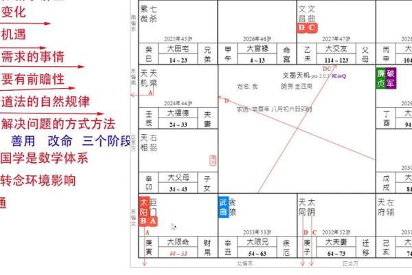逆流紫薇斗数
