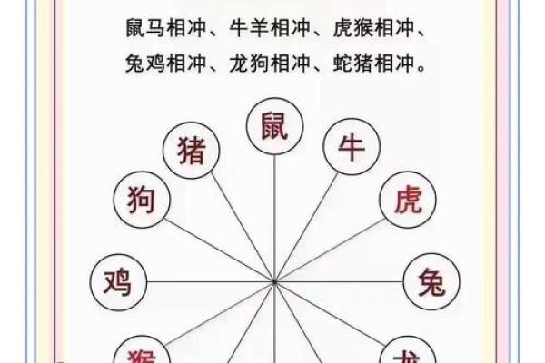 八字算命生肖相冲是什么意思