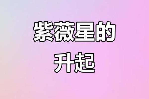 娱乐圈紫薇星