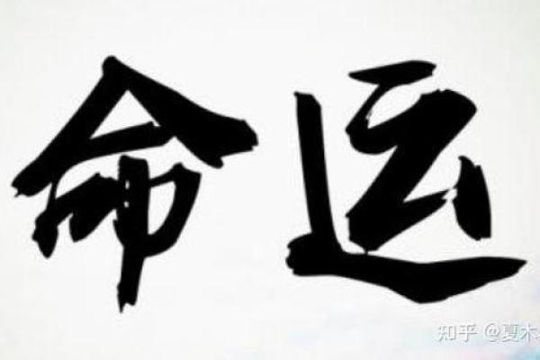 小富八字