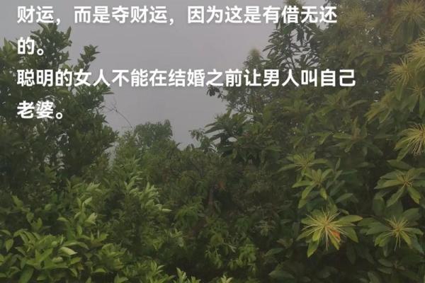 在线算命：夫妻财运提升技巧