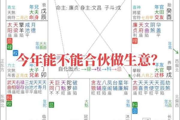 紫薇斗数爱好群