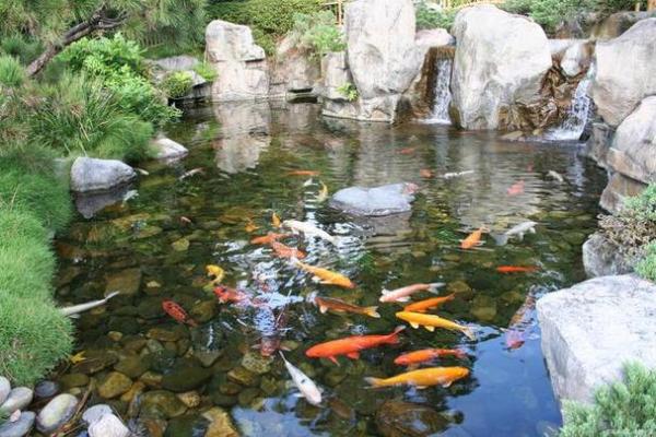 庭院风水池