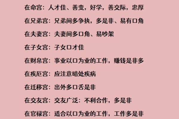 紫薇斗数小流连