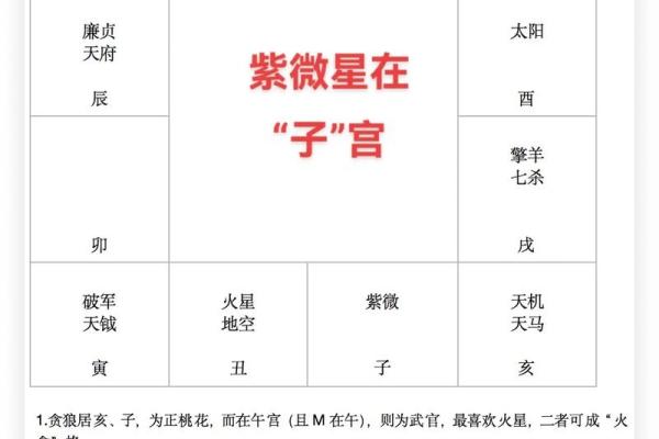 紫薇斗数小流连