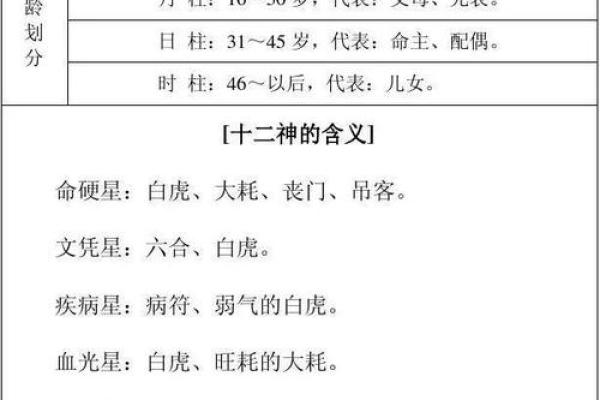 【八字起串宫详解】-从八字申命到十二宫位解析