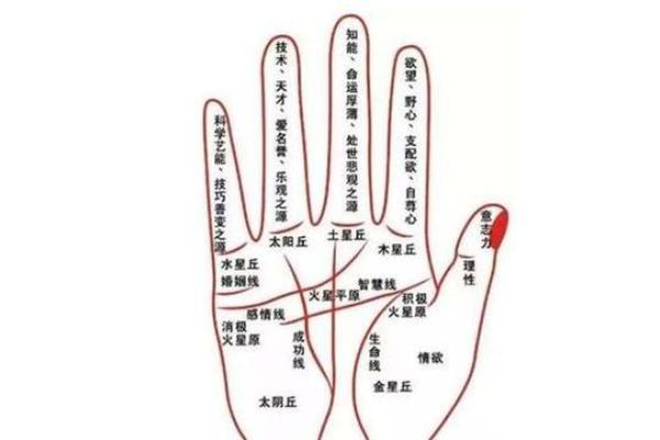 八字算命在线免费解析，准确预测未来，为您指引人生转折点