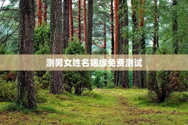 姓名婚姻配对游戏图片 姓名婚姻算命配对？