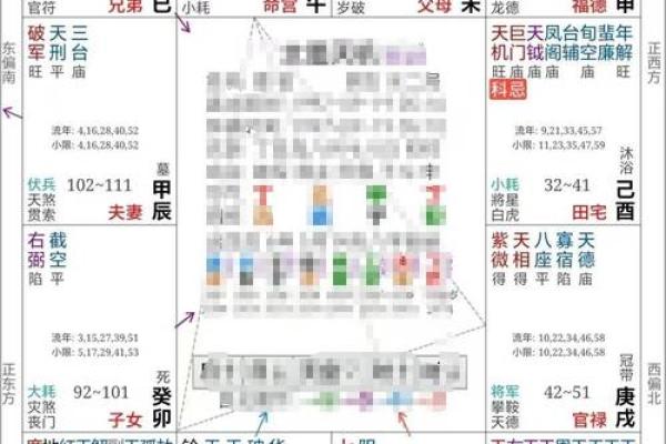 紫薇斗数寿命的星星
