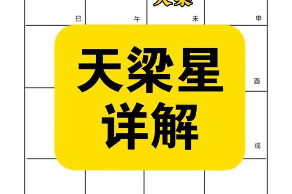 紫薇斗数寿命的星星