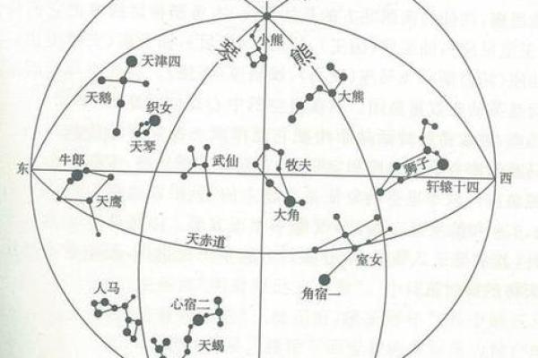紫薇星盘怎么排