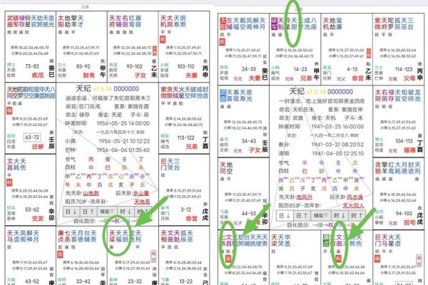 紫微斗数之各星曜所主行业:测本人能否选举上? 紫微斗数之各星曜所主行业:测本人能否选举上?