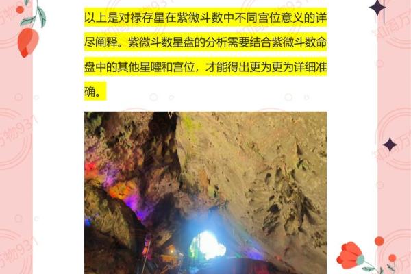 紫薇斗数太阴禄存